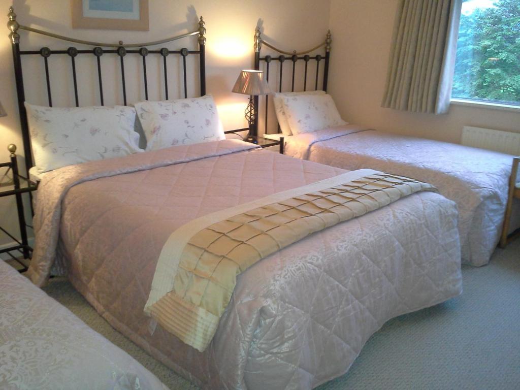 Dromin Fern Rock Bed And Breakfast الغرفة الصورة