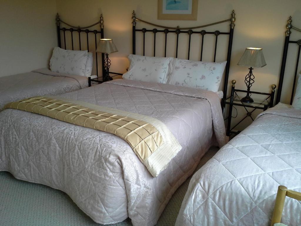 Dromin Fern Rock Bed And Breakfast الغرفة الصورة