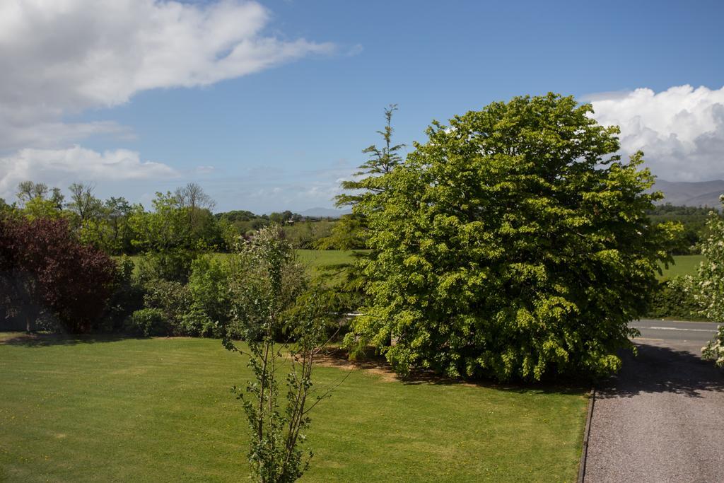Dromin Fern Rock Bed And Breakfast المظهر الخارجي الصورة