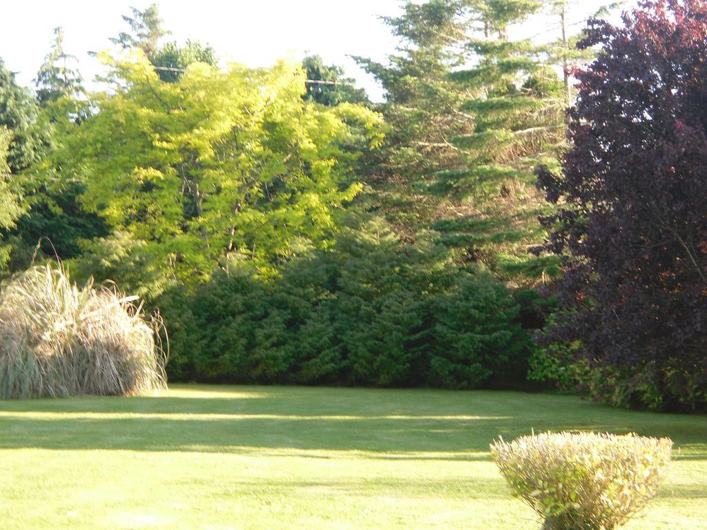 Dromin Fern Rock Bed And Breakfast المظهر الخارجي الصورة